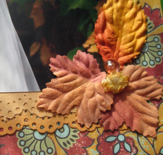 cve_2_11_2009_4 cve_2_11_2009_4